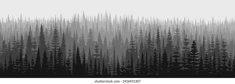 Panoramasicht auf Taiga-Weiden, schwarz-weißer Landschaft