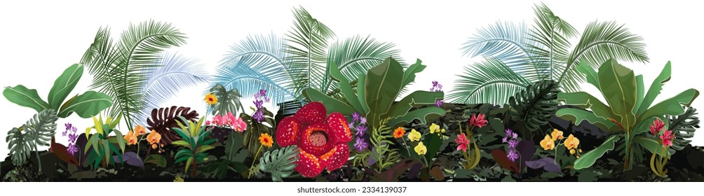 Panoramic view with tropical plants: banana tree, monstera, bamboo, dracaena, rafflesia, orchids. Flowers and coconut palm leaves. Bright design in watercolor style. Realistic botanical illustration