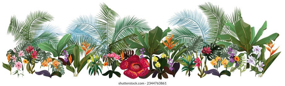 Panoramic view with tropical plants: orchids, Bird of paradise, banana, monstera, bamboo, dracaena, rafflesia. Flowers and coconut palm leaves. Realistic botanical illustration in watercolor style