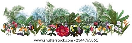 Panoramic view with tropical plants: orchids, Bird of paradise, banana, monstera, bamboo, dracaena, rafflesia. Flowers and coconut palm leaves. Realistic botanical illustration in watercolor style
