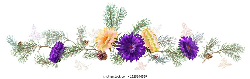 Panoramic view: white, violet chrysanthemum (golden-daisy, aster, daisy), pine branches, cones. Horizontal border for Christmas, white background. Botanical illustration, watercolor style, vector