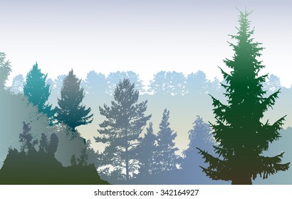 Panoramic winter forest landscape with silhouettes of plants and evergreen trees