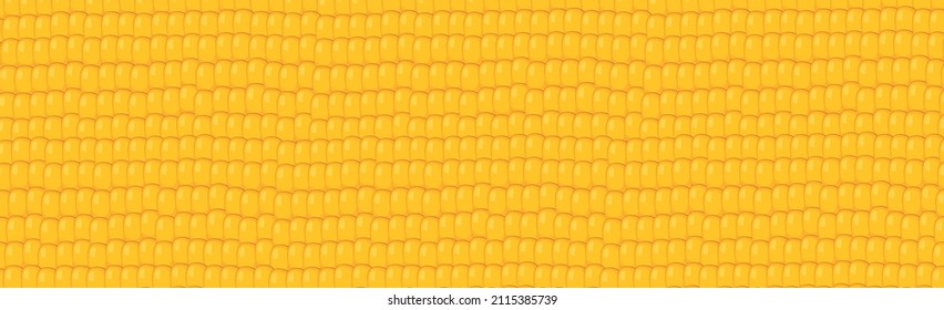 Panoramic yellow - orange corn grain background - Vector illustration