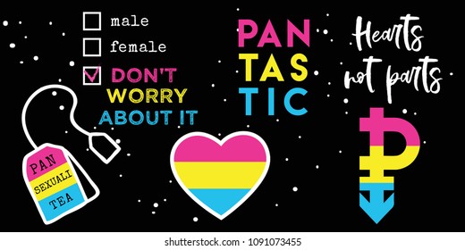 Sexuality pan What Is