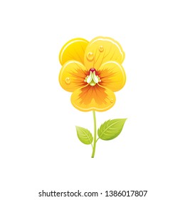 Pansies flower, floral icon. Realistic cartoon cute plant blossom, spring, summer garden symbol. Vector illustration for greeting card, t shirt print, decoration design. Isolated on white backgraund