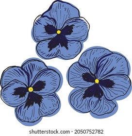 Pansies Flower in a vector style isolated. Color sketch. Pansy Botanical Illustration