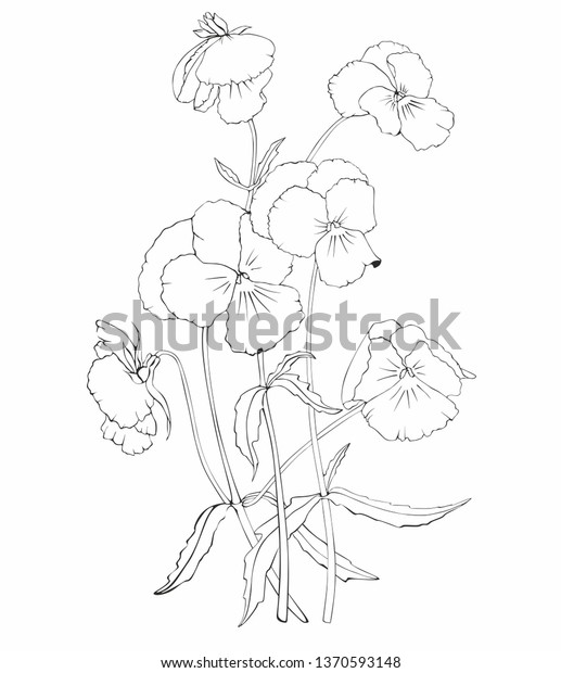 Pansies Flowers Black White Vector Pattern Stock Vector (Royalty Free ...