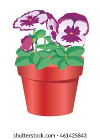 Pansies (flowers) in a flower pot, vector illustration