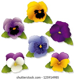 Pansies And Johnny Jump Ups, Miniature White And Lavender Purple Garden Fresh Flowers, Sky Blue, Gold Viola Hortensis, Six Spring Flowers, Isolated On White Background. EPS8 Compatible.