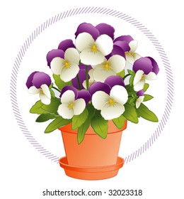 Pansies. Johnny Jump Ups,  miniature white and lavender purple garden fresh flowers with buds, clay flowerpot with saucer, round frame. EPS8 compatible.