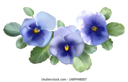 Pansies. Violets. Bouquet of flowers. Botanical vector detailed illustration