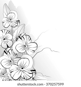 Pansy in black and white on a light background