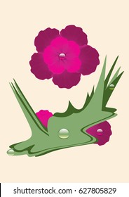 Pansy burgundy original drops of dew floral composition art creative modern vector illustration