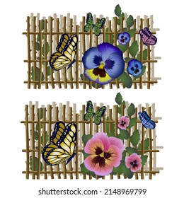 Pansy, butterfly and leaves on wicker fence background. Vector illustration