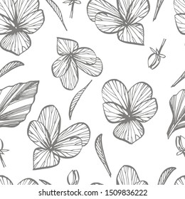Pansy or daisy flower. Botanical illustration. Good for cosmetics, medicine, treating, aromatherapy, nursing, package design, field bouquet Seamless pattern