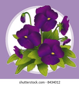 Pansy, deep purple garden flowers in pastel circle frame, EPS8 compatible.