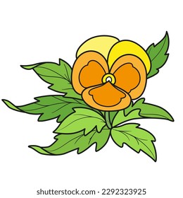 Pansy flower color variation for coloring book isolated on white background
