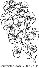 Pansy flower coloring  book hand drawn botanical spring elements bouquet of pansy flower line art, coloring page, vector sketch, artistic simplicity doodle art, Easy yellow pansy flower drawing, pansy