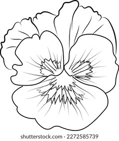 pansy flower drawing, pansy flowers illustration coloring page, simplicity, Embellishment, monochrome, vector art, Outline print with blossoms pansy flower, 