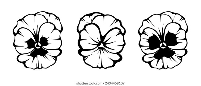 Pansy flowers. Black silhouettes of pansy flowers isolated on a white background. Set of black and white vector illustrations. Hand-drawn illustration, not AI