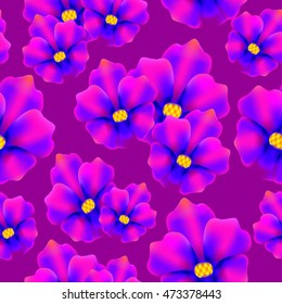 Pansy flowers on a purple background.