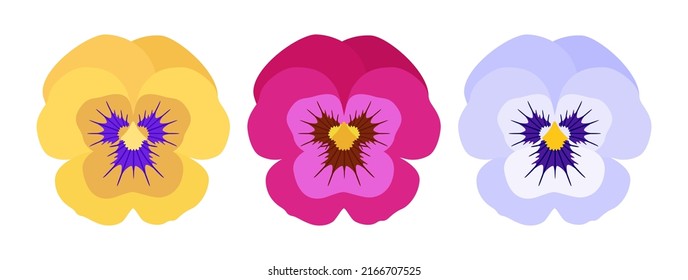 Pansy flowers. Vector set of violet flowers in yellow, red and purple colors isolated on white background. For print, stickers, cards and invitations.