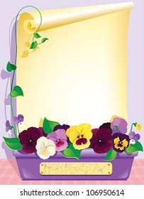 Pansy frame. The vector illustration of a paper roll arranged with flowers.