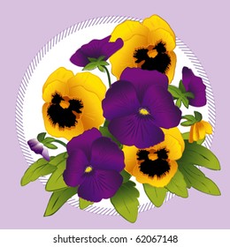 Pansy, gold and purple garden flowers, in violet pastel circle frame, Viola hortensis. EPS8 compatible.