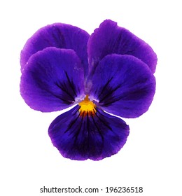 Pansy, With Gradient Mesh, Isolated On White Background, Vector Illustration