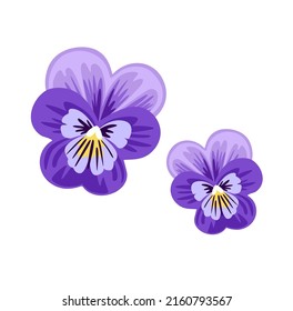 Pansia, amor en ociosidad, viola tricolor, flor de corazón. Planta silvestre violeta. Ilustración vectorial botánica, aislada en fondo blanco. Elemento decorativo plano dibujado a mano.