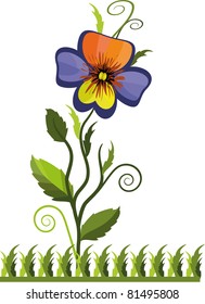 Pansy, vector,