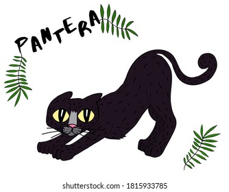 Pantera.Cute pantera vector illustration. Hand drawn cute print for posters, cards, t-shirts. Hand drawn illustration