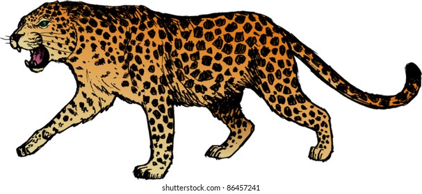 Panther