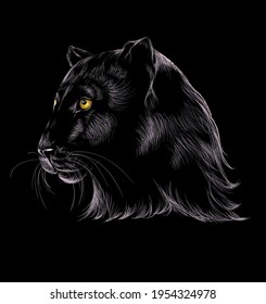 Panther black. Color, graphic, hand-drawn portrait of a Panther on a black background.	
