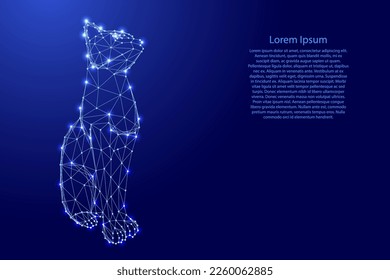Panther black sitting, cat jaguar from futuristic polygonal blue lines and glowing stars