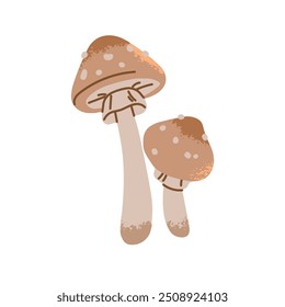 Pantera ou ícone amanita. cogumelo venenoso não comestível, agárico. Boleto venenoso em estilo desenhado à mão. Falso blusher, fungo, planta da floresta. Ilustração de vetor isolado plano sobre fundo branco