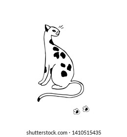 Panther, cat  and traces of paws. Hand drawn. Vector illustration.