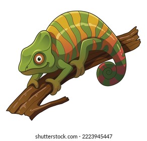 Panther Chameleon Cartoon Animal Illustration