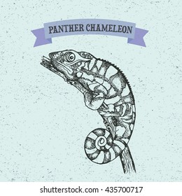  Panther Chameleon, reptile with colorful body. Hand-drawn illustration in dot art style. Coloring page, tattoo design, textiles print. Vector sketch isolated on vintage background