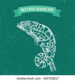  Panther Chameleon, reptile with colorful body. Hand-drawn illustration in dot art style. Coloring page, tattoo design, textiles print. Vector sketch isolated on vintage background