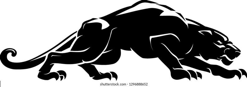 Panther Crouching Shadow