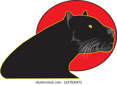 Panther is a fascinating wildlife.