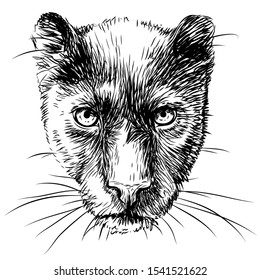 4,012 Black Panther Face Drawing Images, Stock Photos & Vectors |  Shutterstock