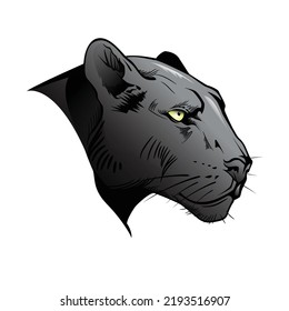 Panther Head Logo And Illustration 