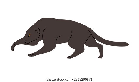 Panther hunt, black jaguar walking. Big cat sneaking. Wild feline, jungle predator, dangerous animal. Tropical forest habitant. Panthera flat isolated vector illustration on white background