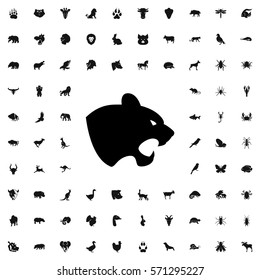 panther icon illustration isolated vector sign symbol