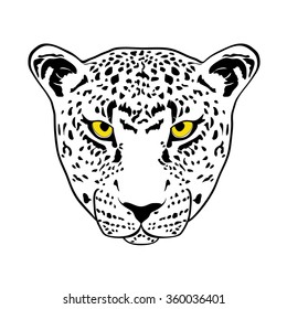 Panther illustration background