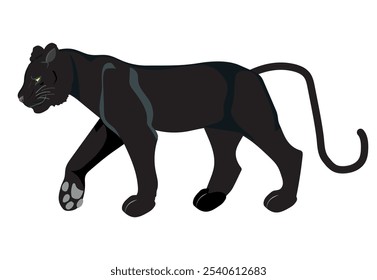 panther isolated on white background. Vector of a feline side view. vector illustration.