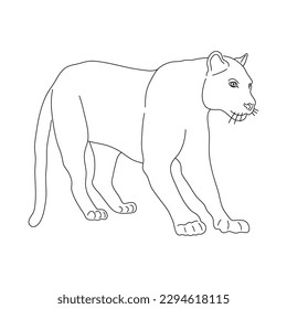 Panther in line art drawing style. Vector illustration.