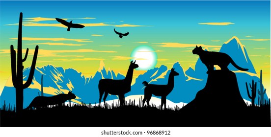 Panther, llama and eagles in the sky somewhere in Argentina